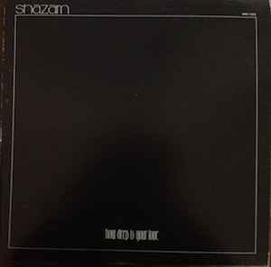 Shazam - How Deep Is Your Love (LP, Album)